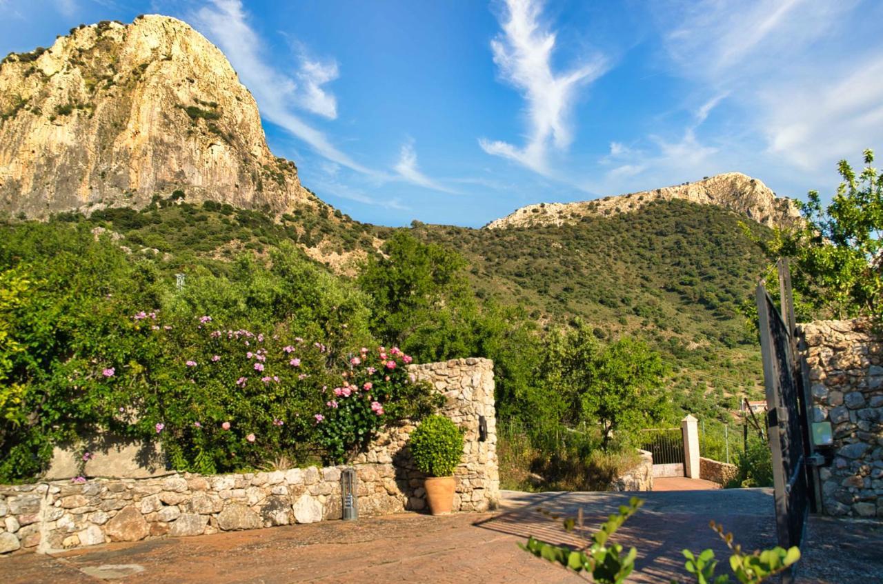 El Valle Dorado Chalet